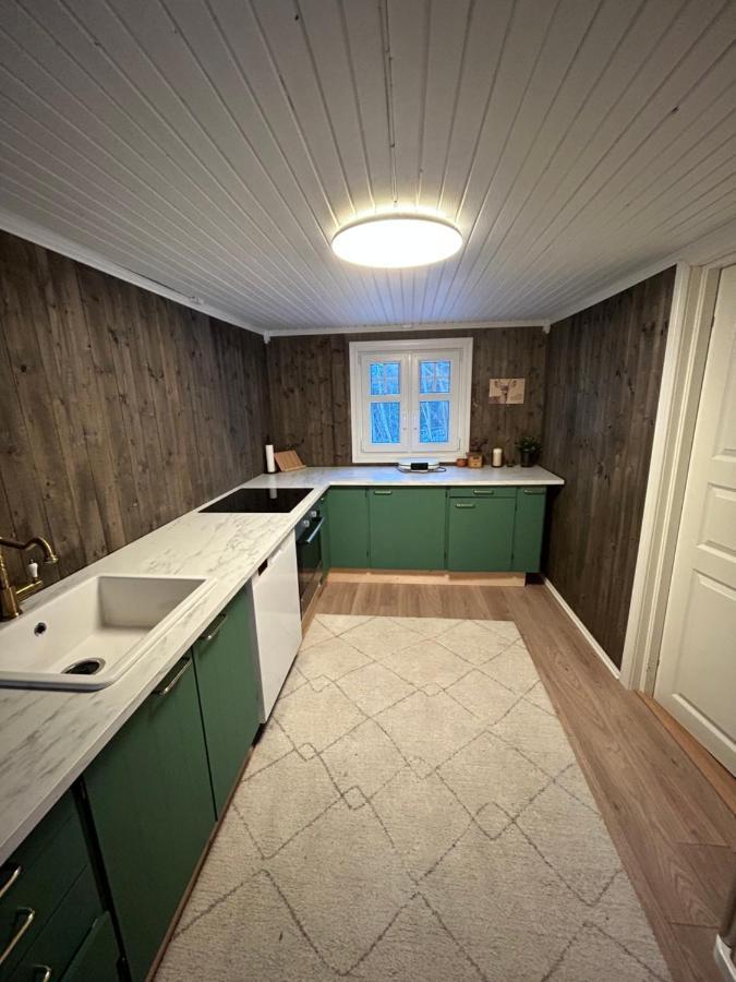 Vila Beautiful Cabin By Mjosa. Stange Exteriér fotografie